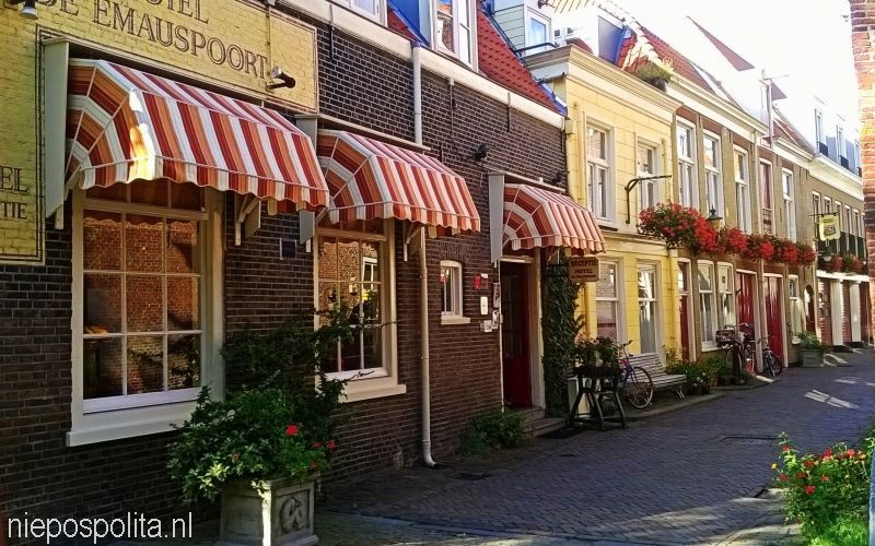 NIEPOSPOLITA.NL NIEPOSPOLITA.NL