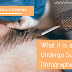 Microblading Eyebrows: What it is and Why Undergo Such (Infographic)