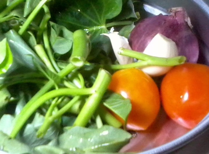 Pinoy-Prism: Apan-apan: Kangkong with Pork and Ginamos-Iloilo (Salted ...