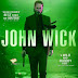 John Wick 2014 BRRip 720p Dual Audio Hindi English