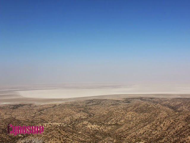 What To Do In Rann Utsav, Detailed Itinerary For A Day At Kalo Dungar
