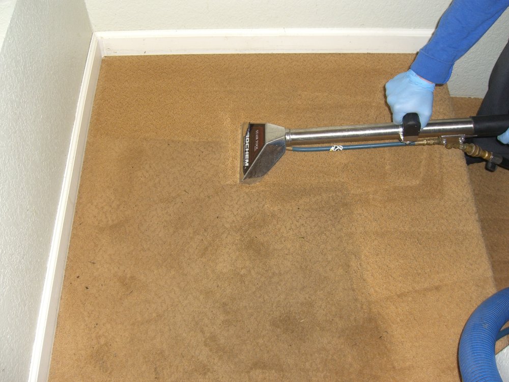 Carpet Cleaning Washington