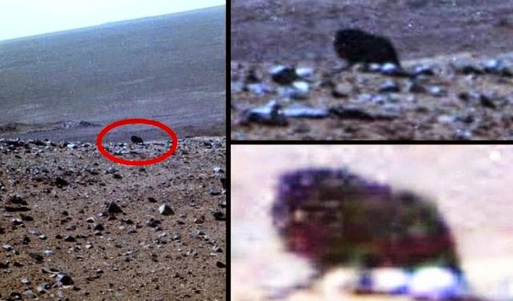 Clique aqui para acessar...