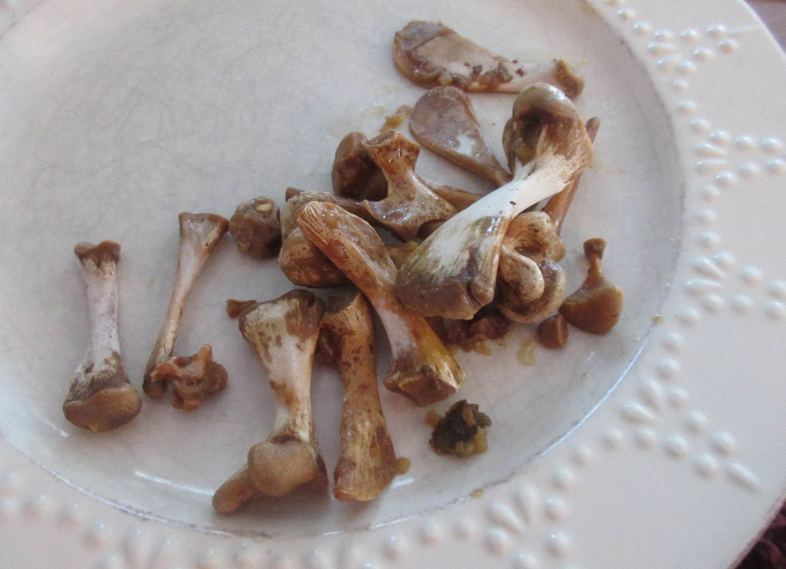 Cannundrums Snapping Turtle Crockpot Stew