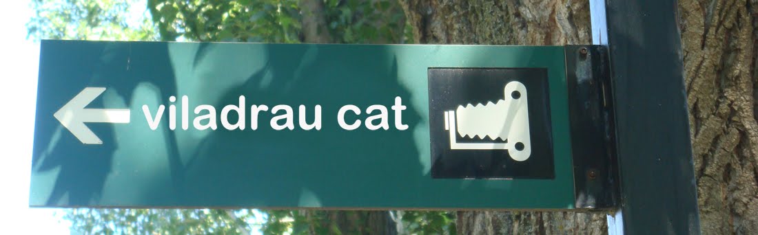 Viladrau Cat