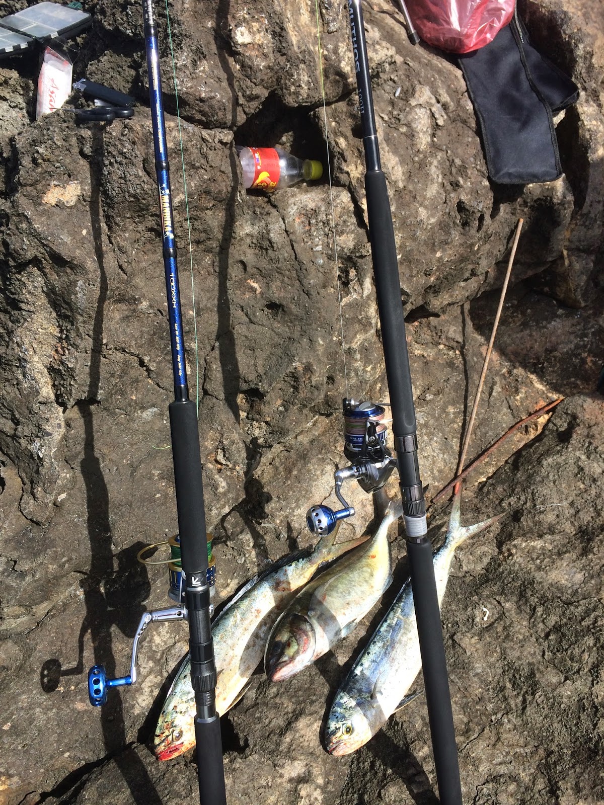 'Ψάρεμα στην Κρήτη' 'Fishing in Crete'' Spinning Shore Jigging