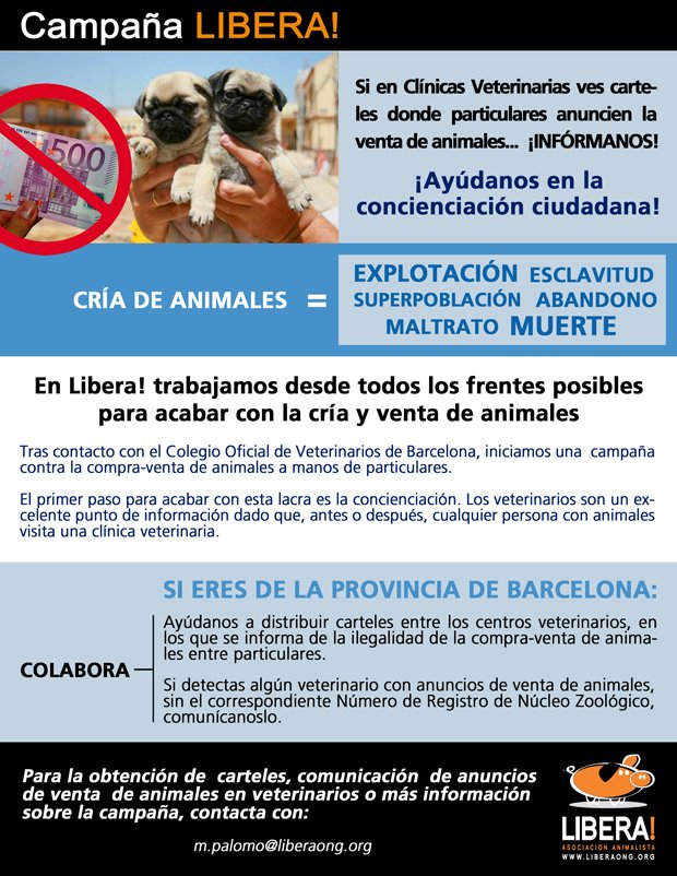 Mi Pequeño Rincón CampaÑa Contra La Compra Venta De Animales Por