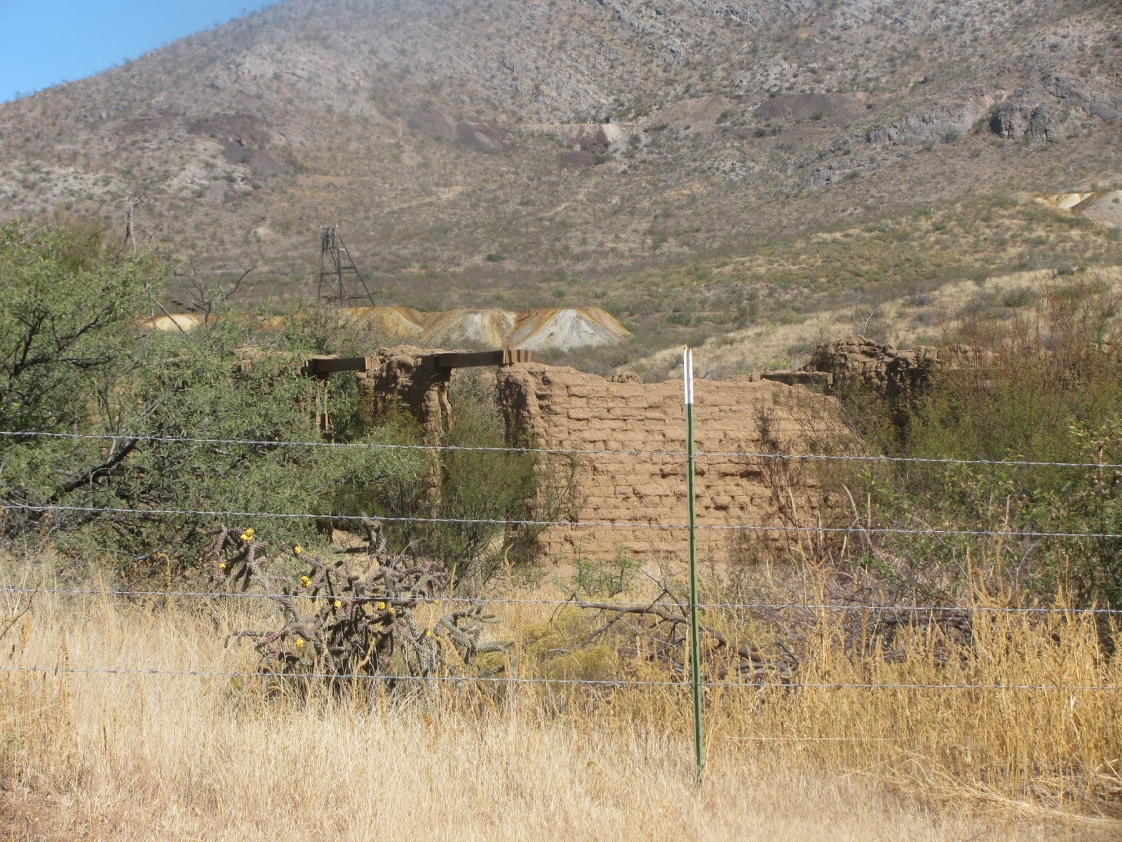 Backyard Excursions GleesonGhost Town for sale