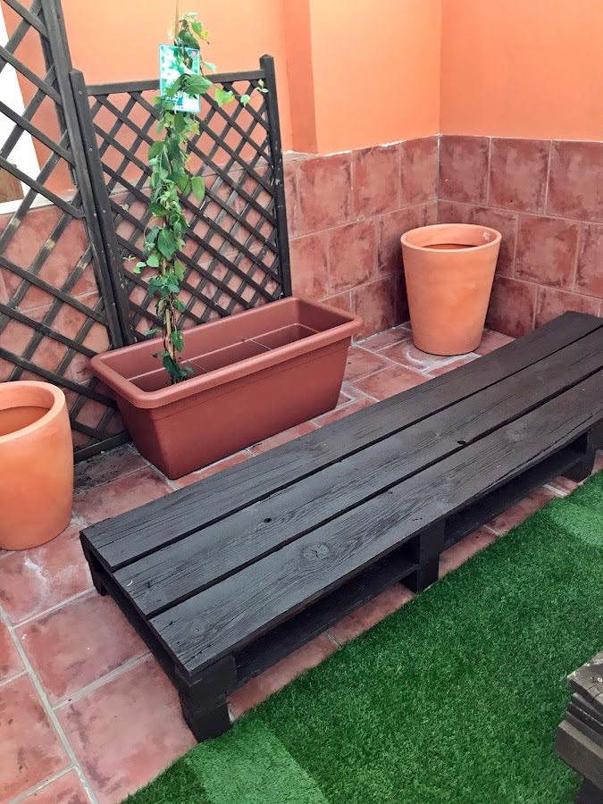 Como trasplantar flores