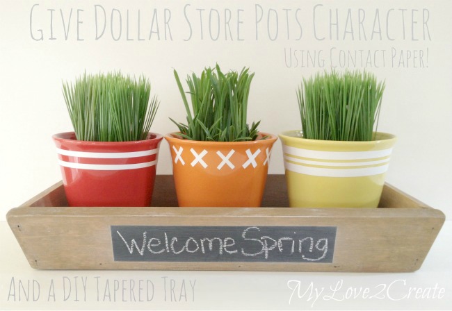 MyLove2Create, tapered tray and dollar store pots