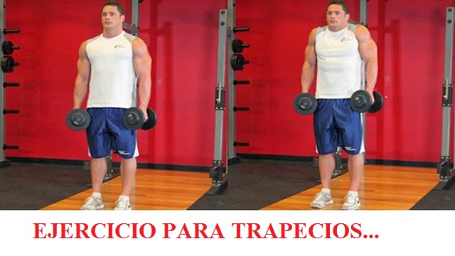 Banco Inclinado Trapecio Con Mancuerna Encogimientos De Hombro Con