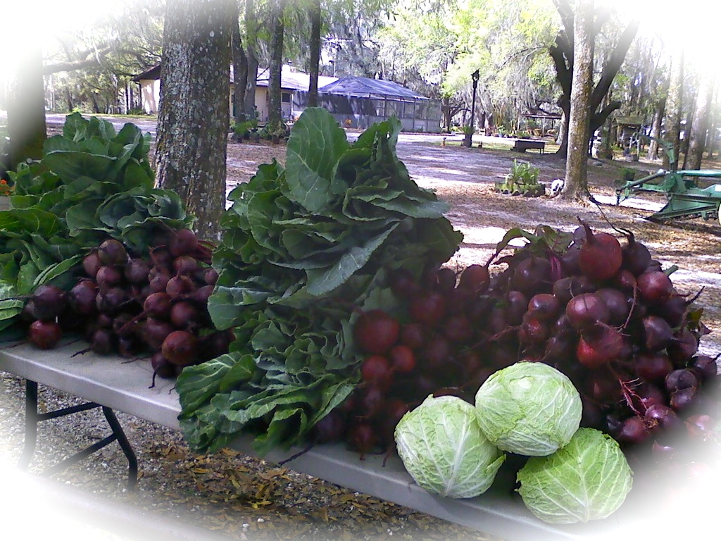 Beasley Farm of Brooksville Tasty and Healthy March 8, 2012