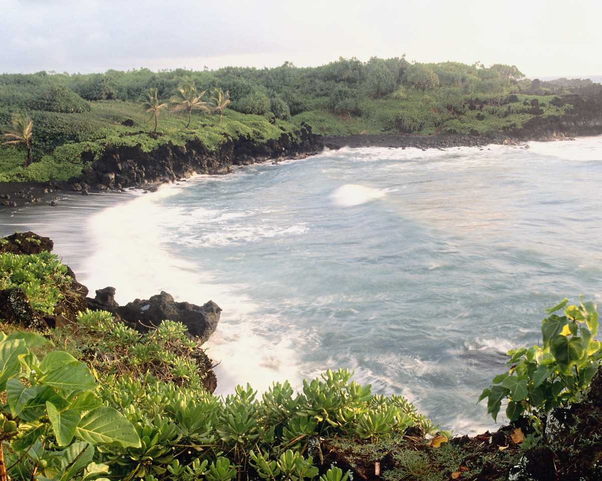 Where can I get some