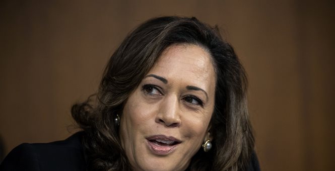 AFI. (Jul. 19, 2019). Kamala Harris’ Jamaican descendants led the British-Jamaican slave trade before the U.S. Civil War. Americans for Innovation.