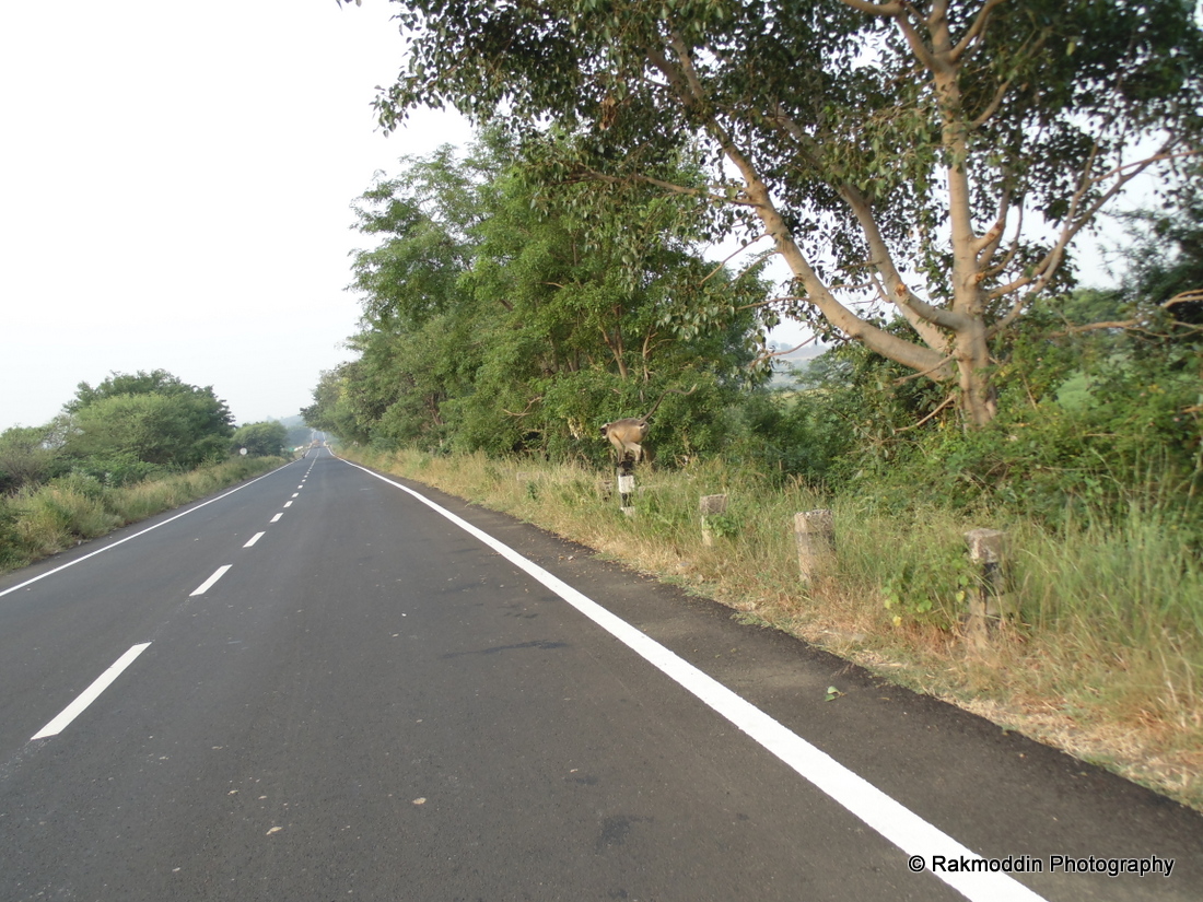 One day weekend bike trip to bidar from gulbarga, Karnataka