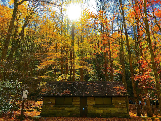 2016 - Great Smoky Mountains