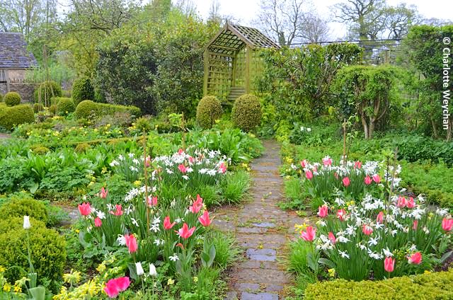 Rosemary Verey's Cotswold garden - Barnsley House