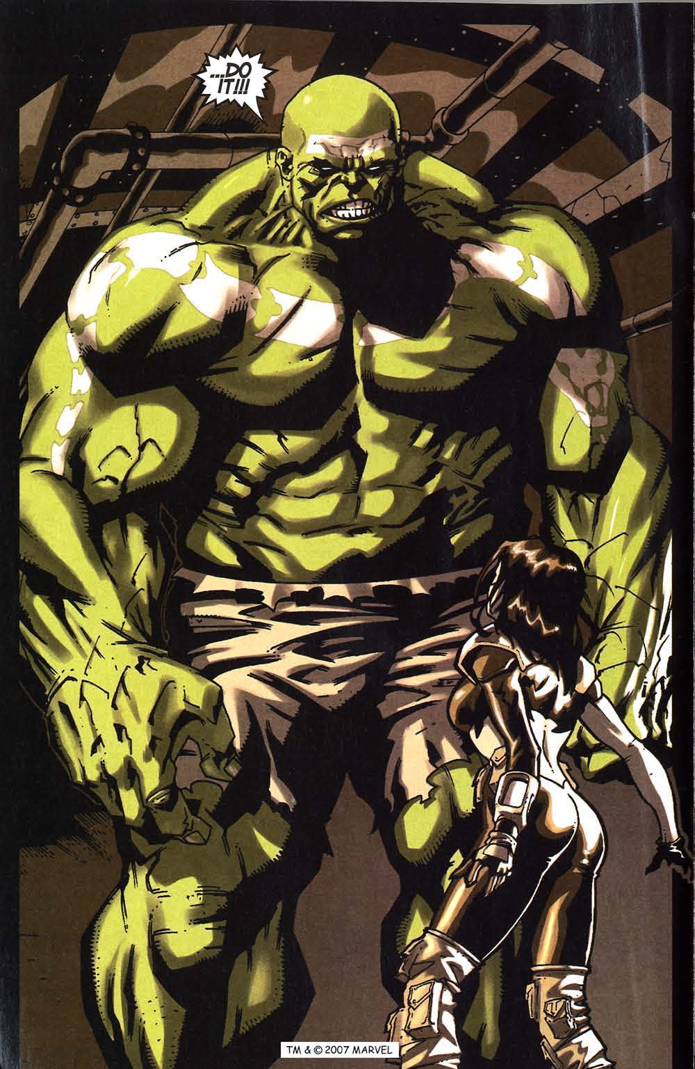 The Incredible Hulk (2000) Issue #84 #73 - English 18