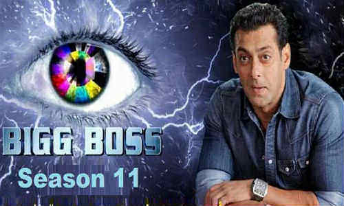 Bigg Boss S11E92 HDTV 480p 250MB 31 Dec 2017