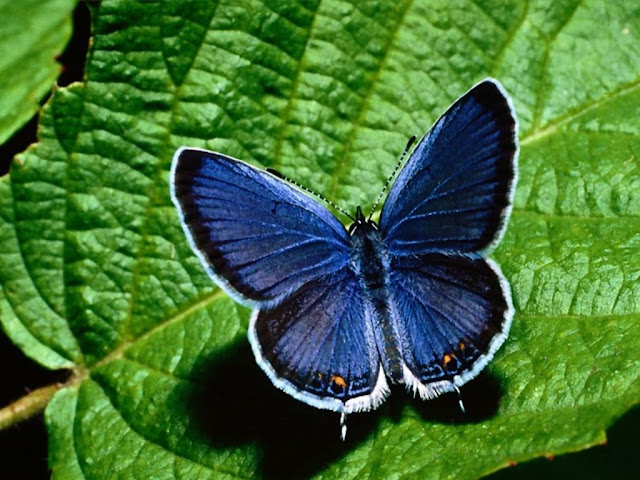 Belas imagens que a natureza nos oferece! | Natureza Bela