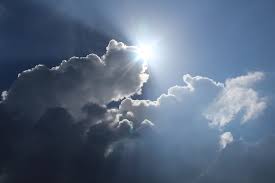 Pengertian Lingkungan Biotik dan Abiotik Beserta Contohnya | D�KINGS