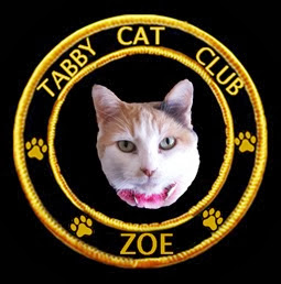 Tabby Cat Club Member