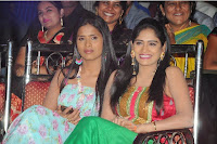 pelladandi-audio-launch-photos-tollyscre