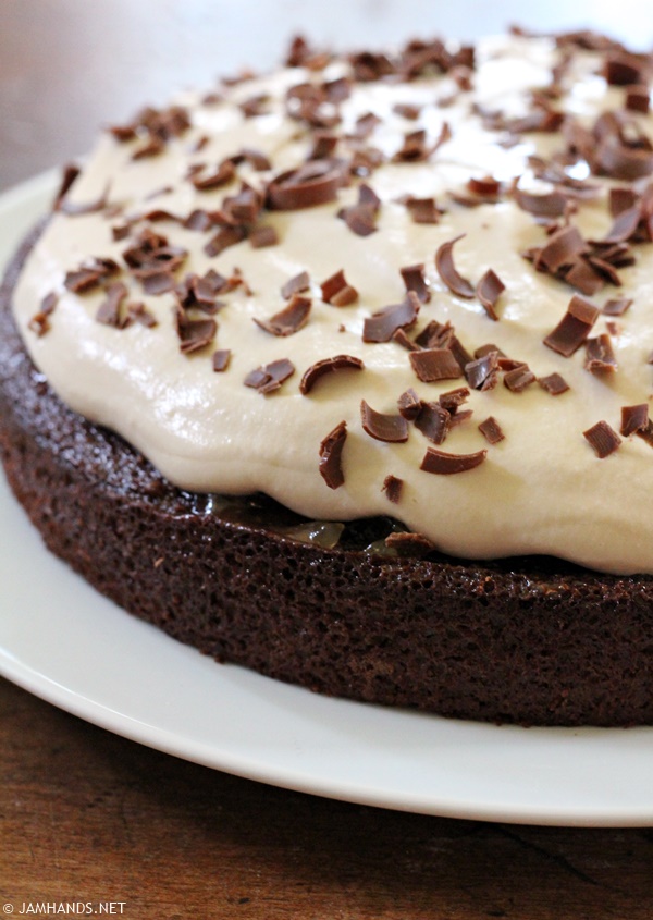 Chocolate Apricot Cake with Tiramisu Mascarpone Frosting