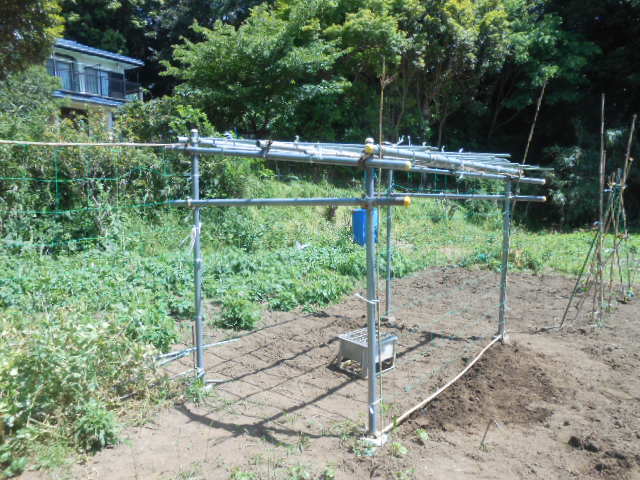 小動物と家庭菜園・田舎暮らしを楽しもう ゴーヤ棚移設完了+エダマメほか播種