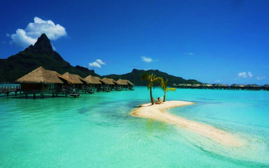 Amazing JPG borabora gulf huts bungalow palm trees