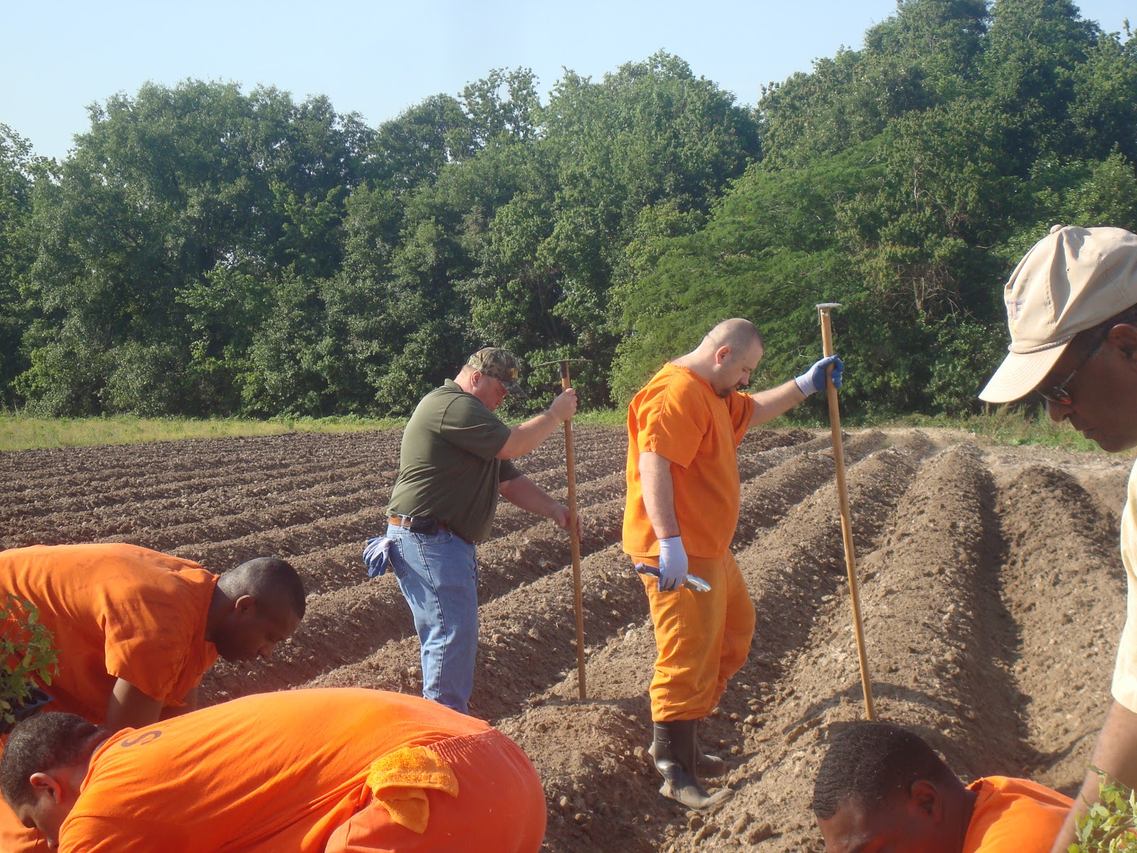 Southern University Ag Center and College of Agriculture Inmates