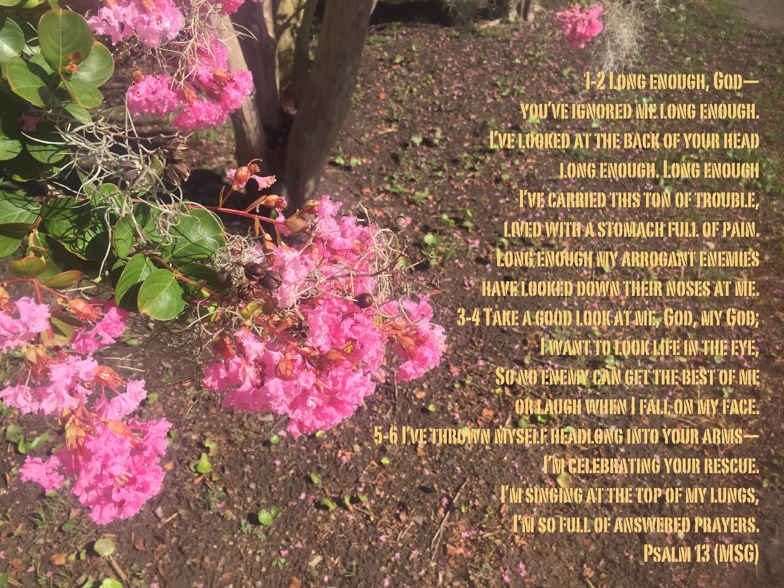 My Strength Psalm 13 "Healer"