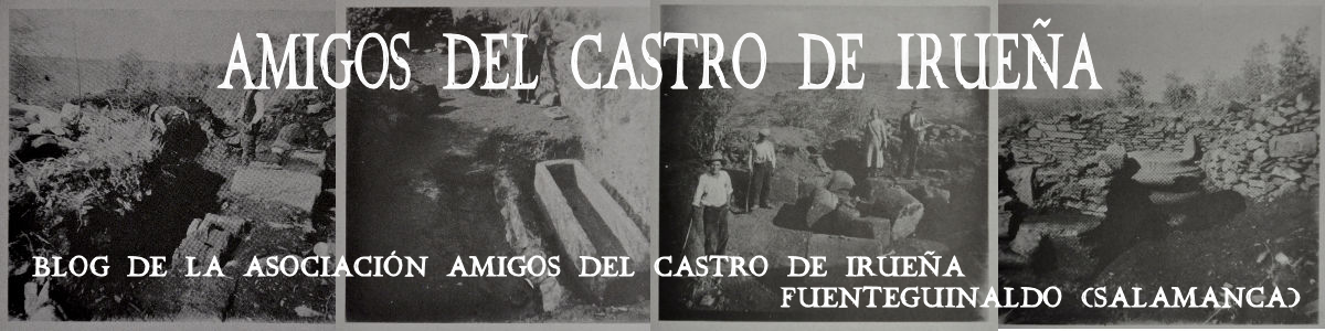 Amigos del Castro de Irueña