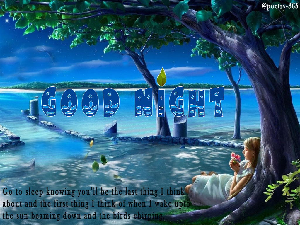 Wishes and Poetry Beautiful Good Night Image with Moon for Friends