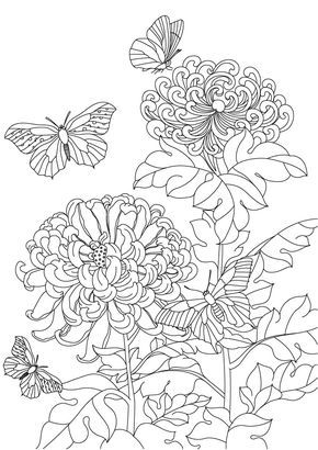 Tranh tô màu con bướm và hoa cúc đại đóa