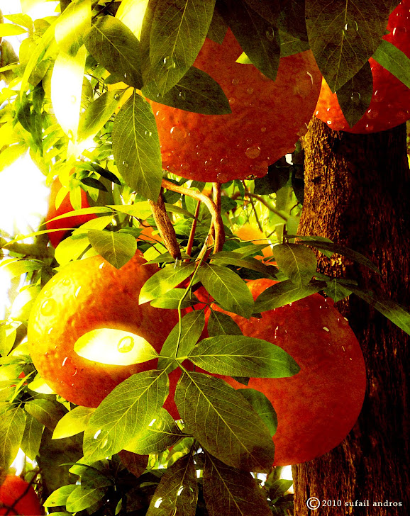 .: Liquid Light Render Elements