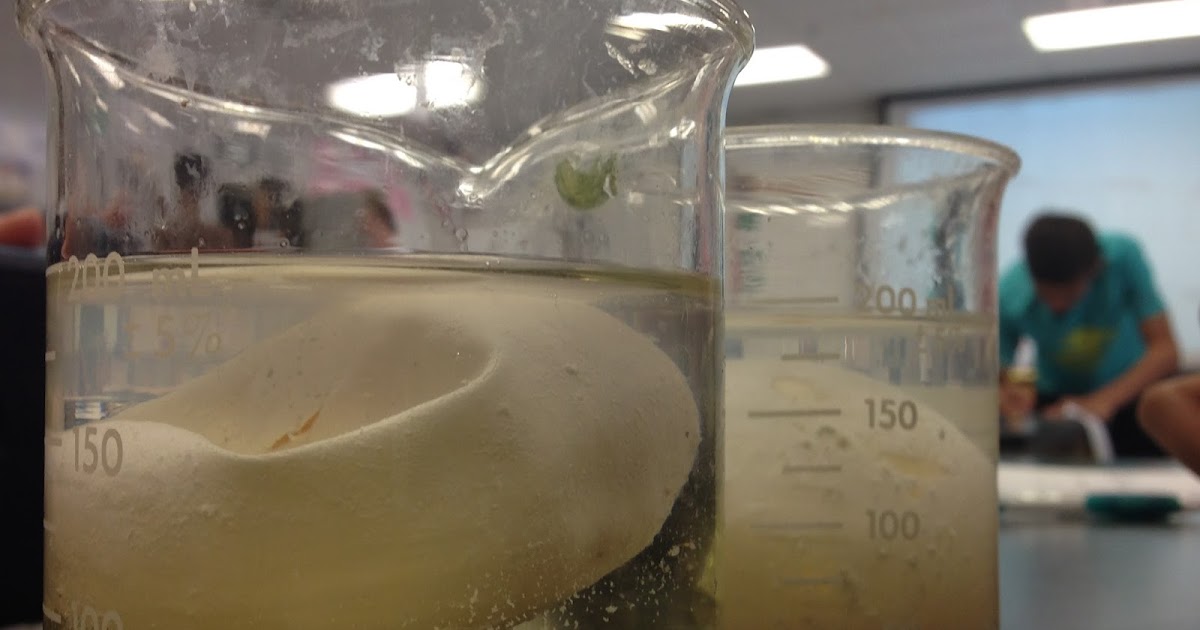 Veda Biology Blog Egg Diffusion Lab