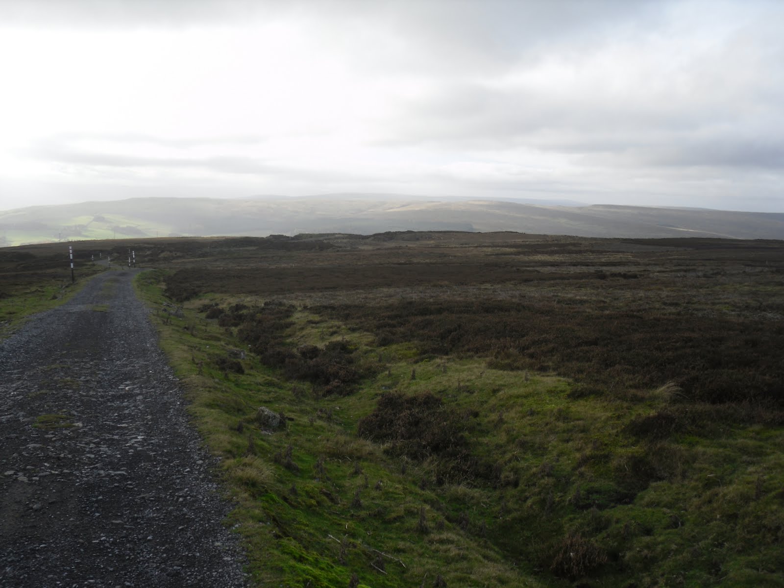 Rambling Nana Stanhope & Wolsingham Park Moor