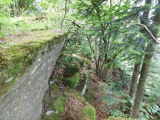 Wychodnie skalne na północno-zachodnim stoku Żurawnicy. 