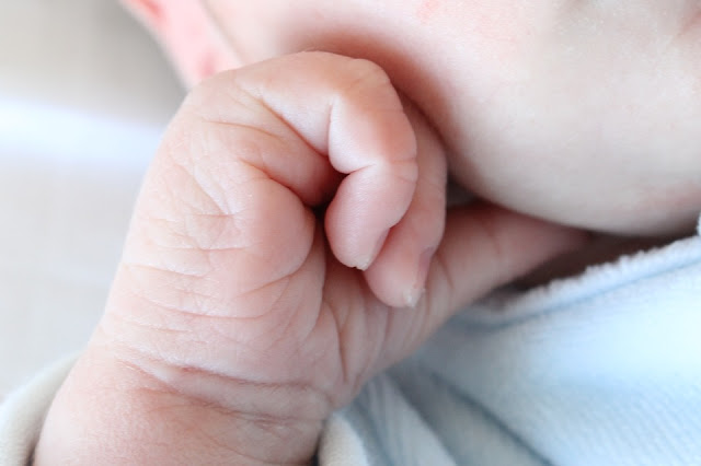 Image: Newborn Hand, by Helene Mejza on Pixabay