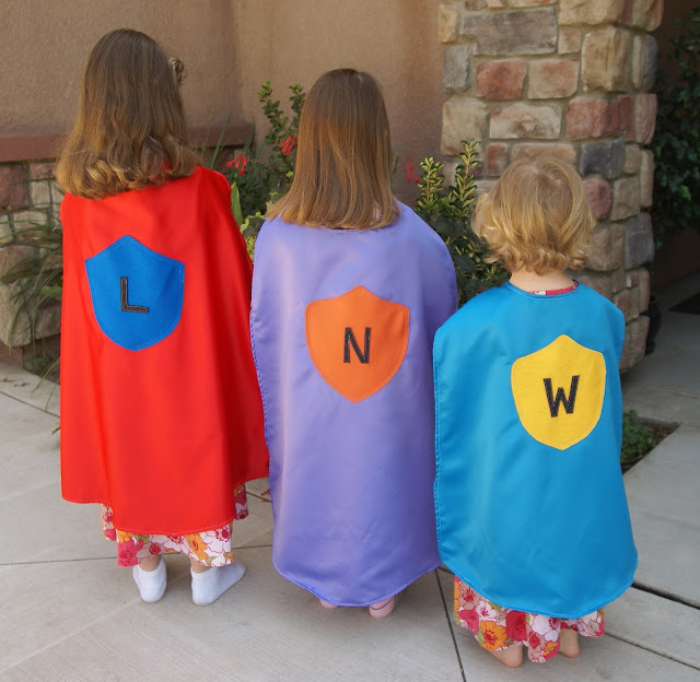 Fabric Mutt Superhero Capes
