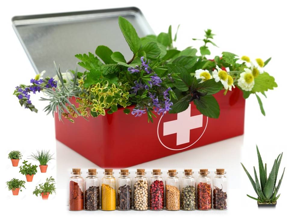 CREA TU BOTIQUÍN DE PLANTAS MEDICINALES ~ ALIMENTACION SANA Y NATURAL