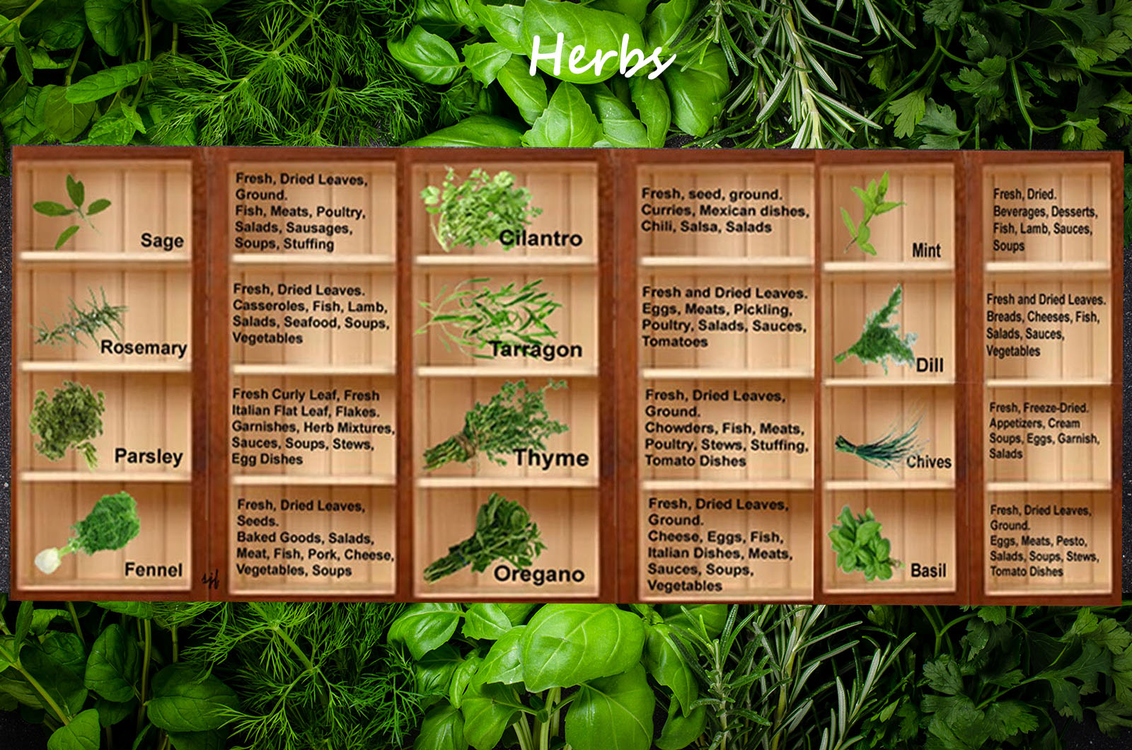 Dietitians Online Blog Herb Day