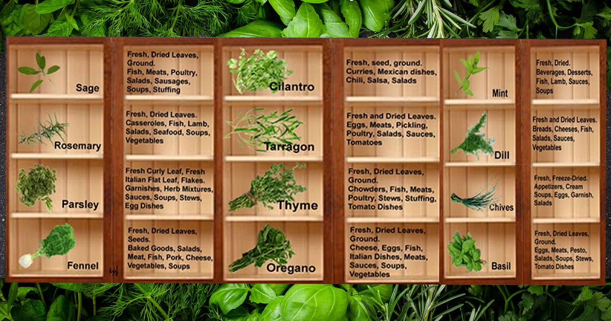 Dietitians Online Blog Herb Day