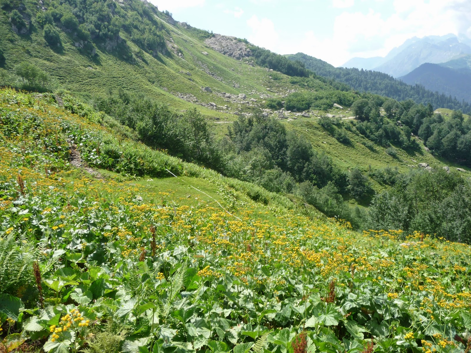 Национальный парк в абхазии