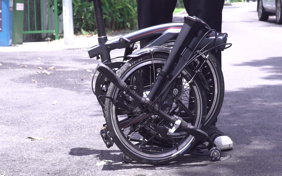 jual dahon curl i4