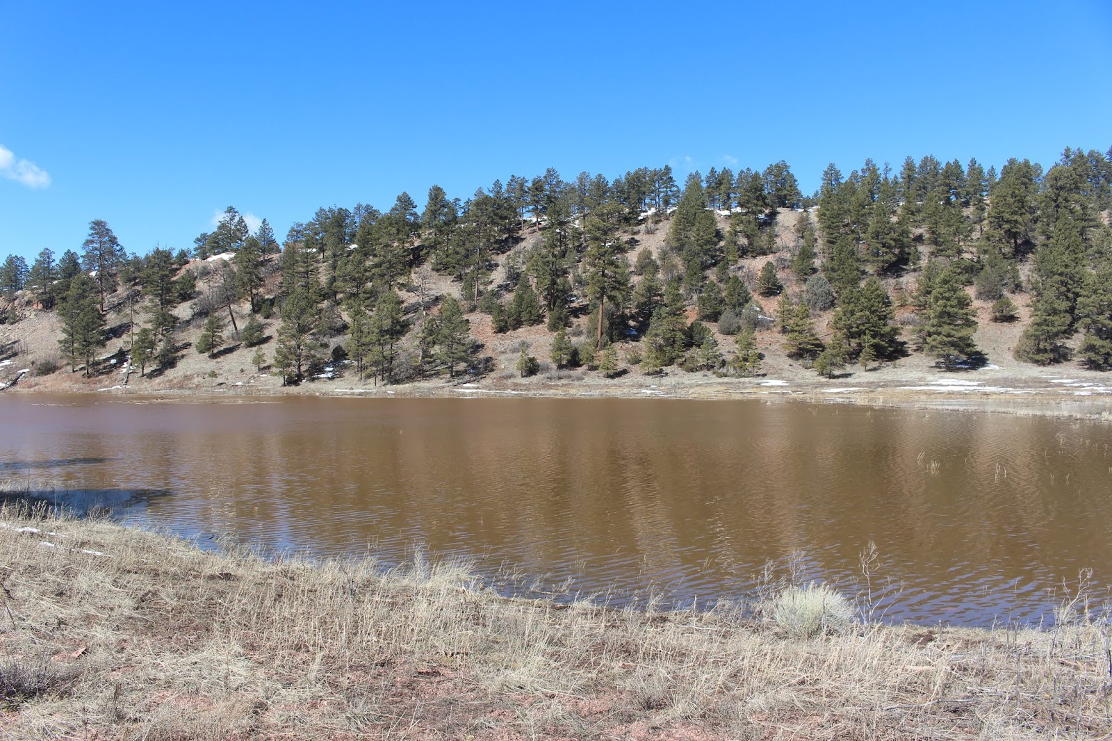 Armand's Rancho Del Cielo McGaffey Lake