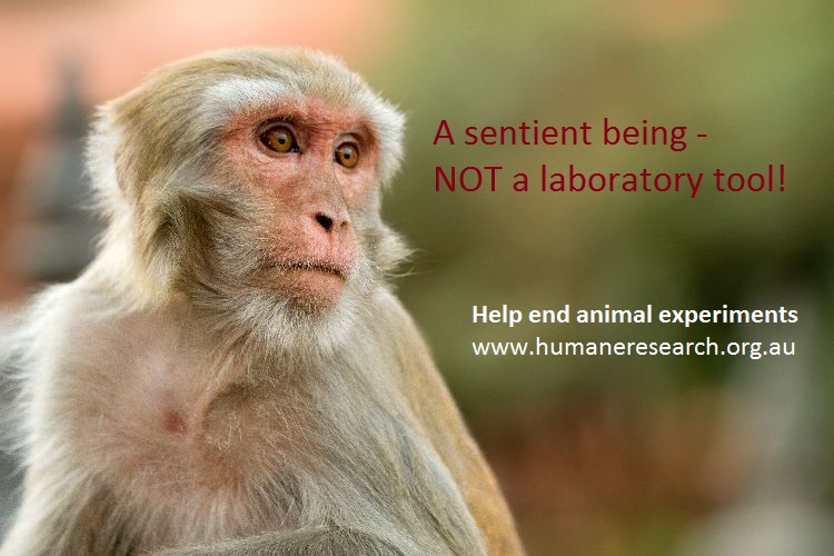 arguments for animal experimentation