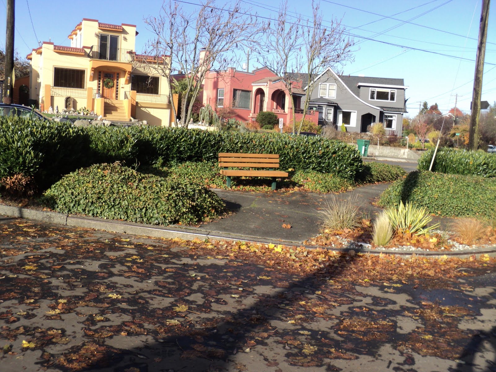 Walking Seattle Neighborhoods North Green Lake