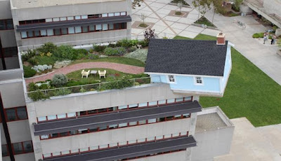 Ada Rumah Biru Nyangkut di Atap Universitas California